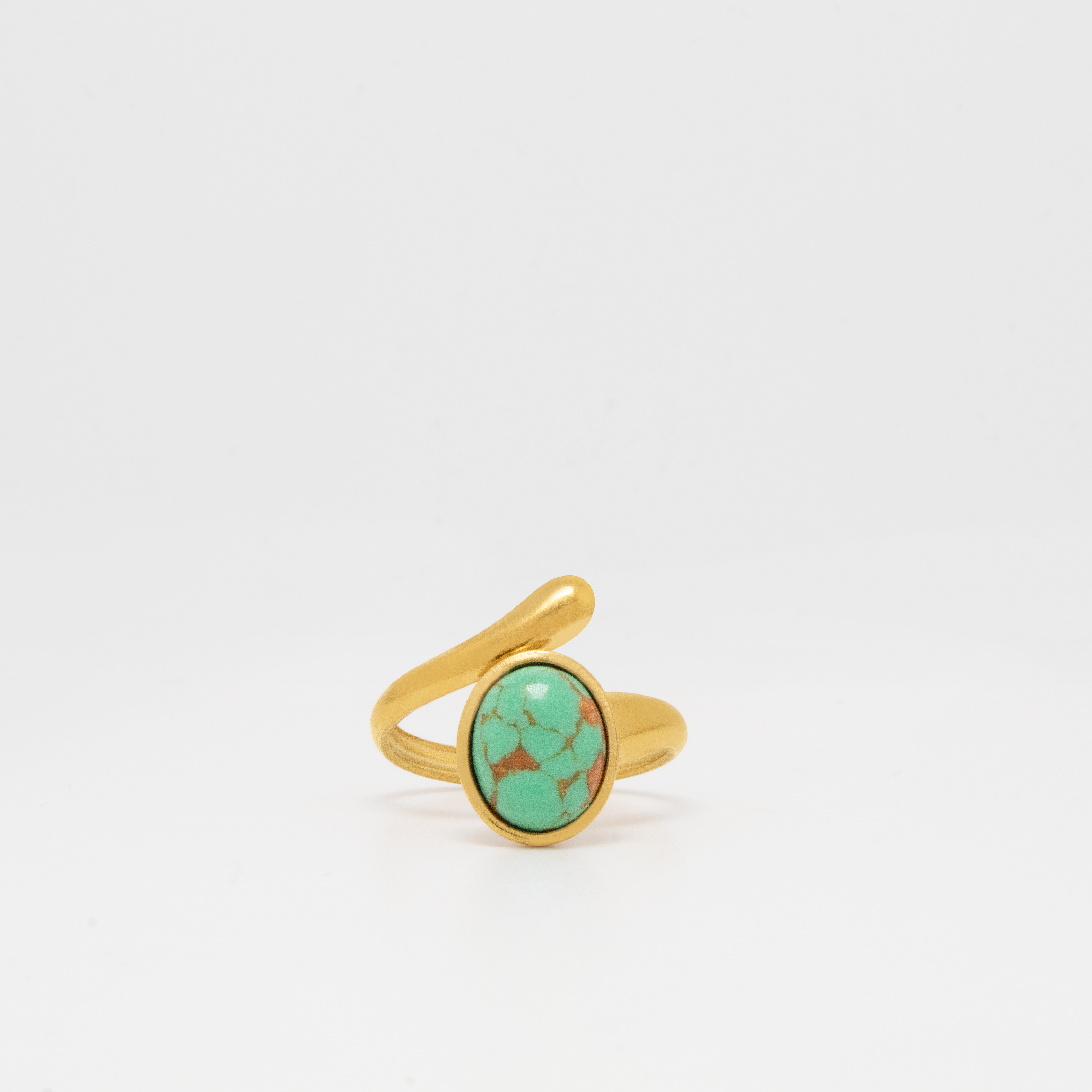 Anillo Oasis