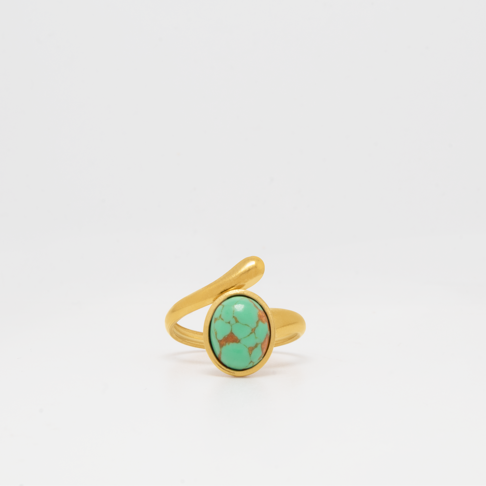 Anillo Oasis
